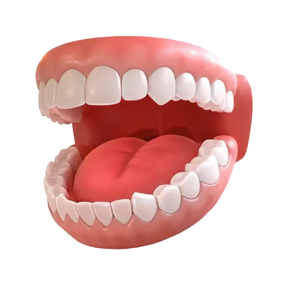 عنصر أسنان
